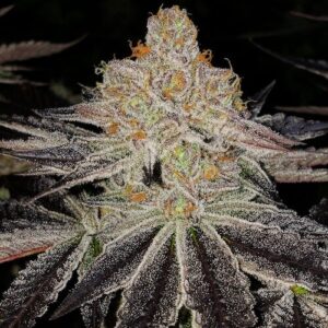 Zkittlez Cookies